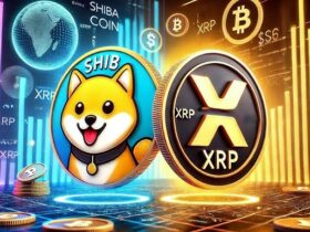 Coinbase Classifies XRP and Shiba Inu as Money and Store of Valur Assets