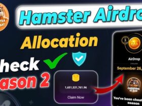 Hamster Kombat Reveals Airdrop Allocations